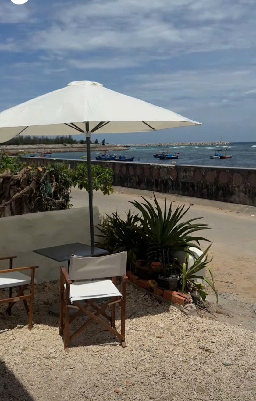 DÙ CHÍNH TÂM TRÒN CAFE - Hình ảnh 5